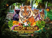 RTP Red Tiger Big Cat Rescue Megaways